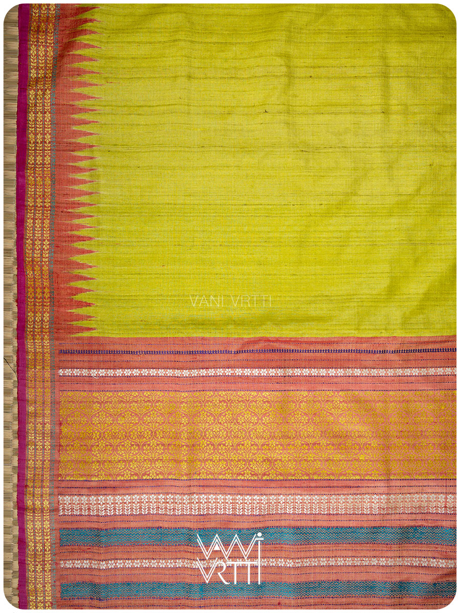 Banana Leaf Green Parijat Handspun Tussar Silk Saree